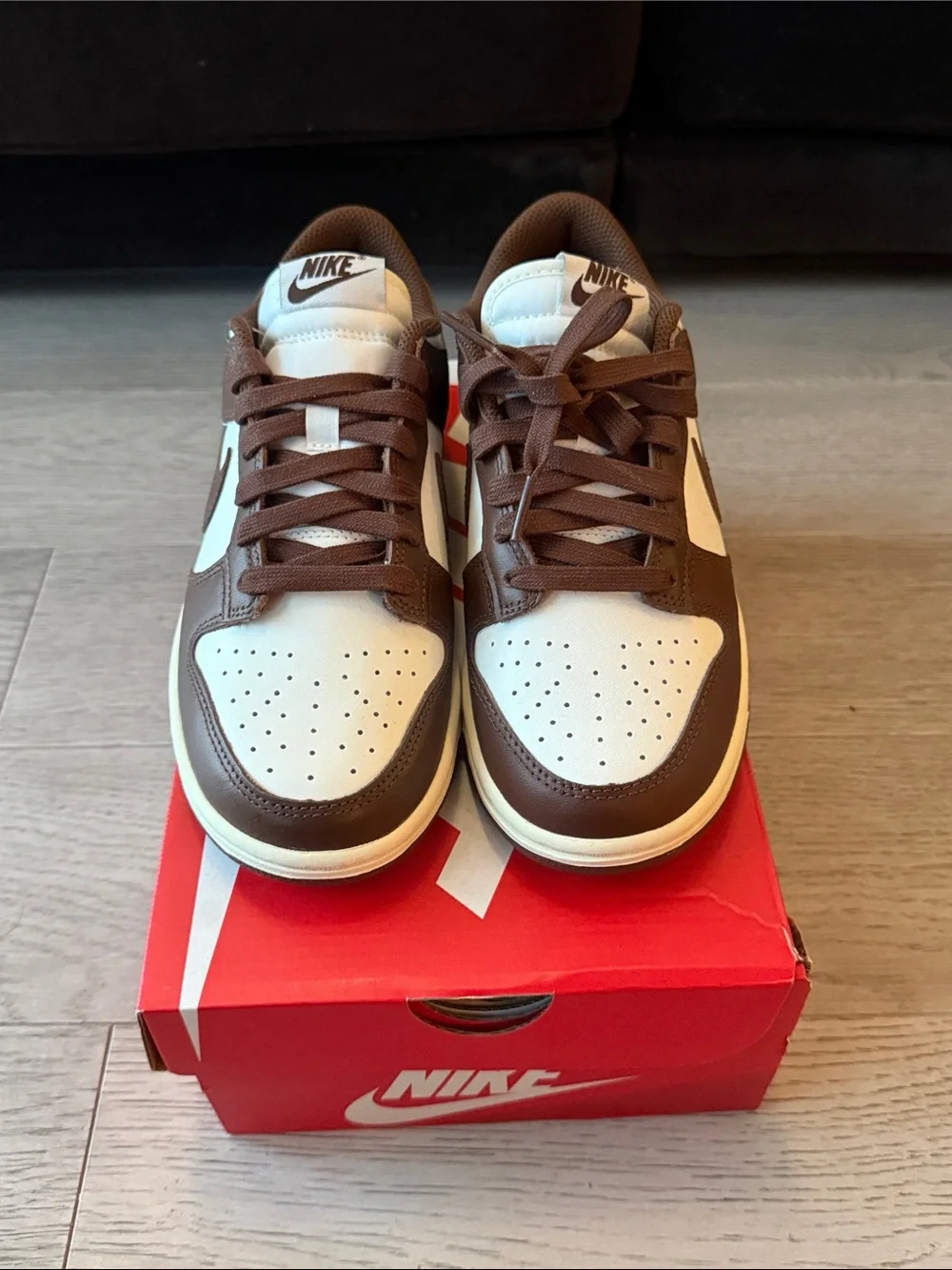 Women’s Nike Dunk Low